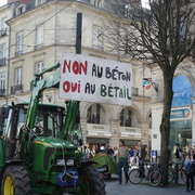 Manifestation contre l'Ayrault port ND des Landes