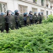 Au vert