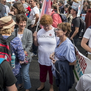 Insoumise