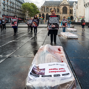 Manif Vegan 30 sept.2017