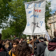 Pancarte