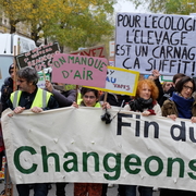 l'élevage est un carnage
