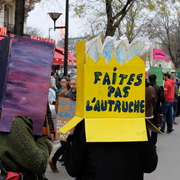 autruche