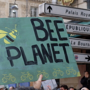 Bee planet