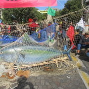 Pêche