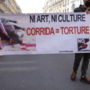 corrida égale torture