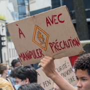 Pancarte