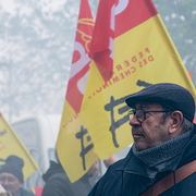 Manifestant