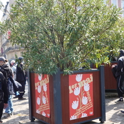 1er mai