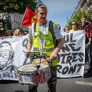 Gilmets jaunes