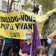 Rebellion extinction