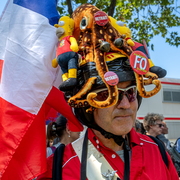 Pieuvre