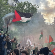 couleurs Palestine 2