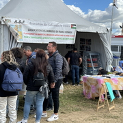 Saharaouis en France
