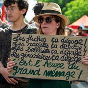 Dégagisme