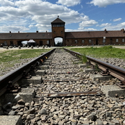 auschwitz-birkenau