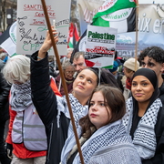 Manifestantes