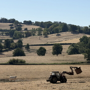 manque d'herbe