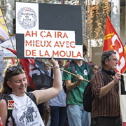 Pancarte