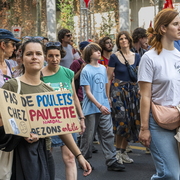 Manifestantes