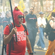 Manifestat