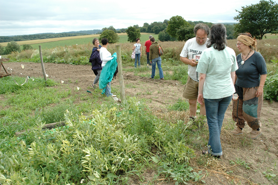 amap9juillet06027.JPG