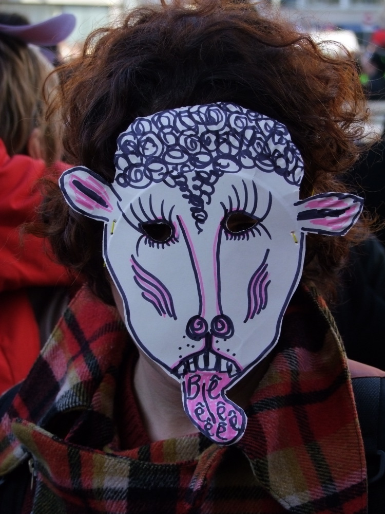 DSCF1465.jpg