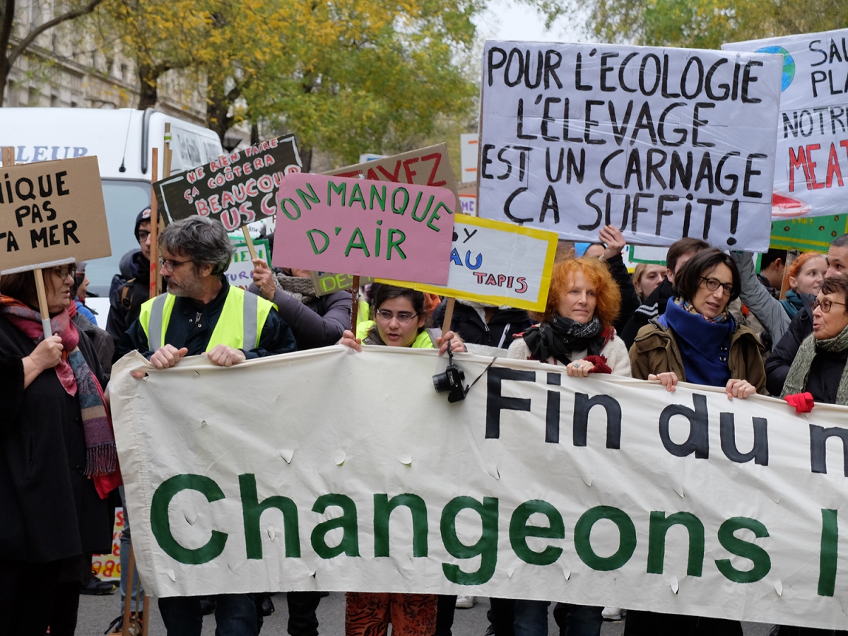 Manif_Climat_Dec_201820180013.jpg