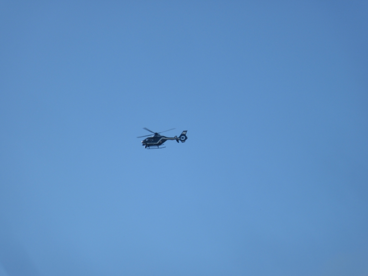 helico.jpg
